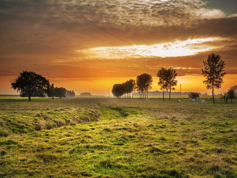 2026自由职业接单指南：8大靠谱平台测评，低门槛+高适配_兼职_时间_需求