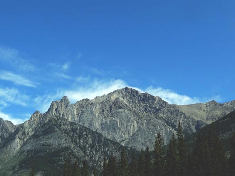 电商图片采集工具