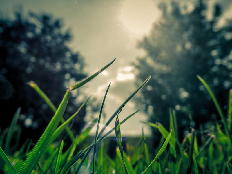 手机刷机工具箱