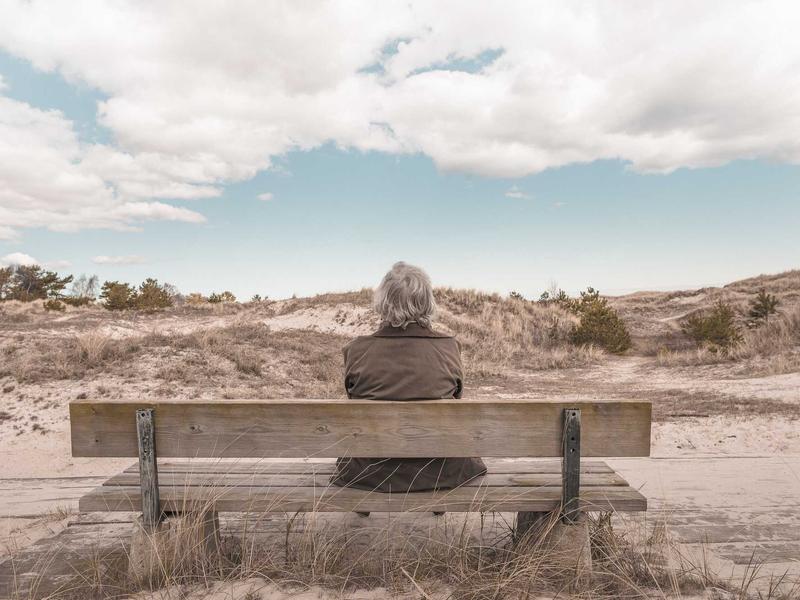 即梦Ai破解版无限积分