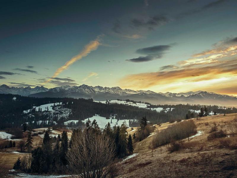 酷我音乐车机版