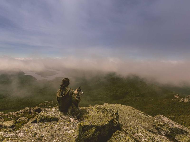 梨园行戏曲TV版